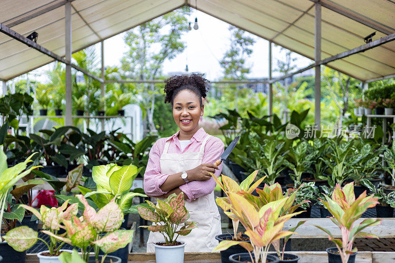 一名非洲女园丁在热带雨林的温室里照料她的外来植物，这是一种用于观赏园艺和夏季园艺的小盆栽