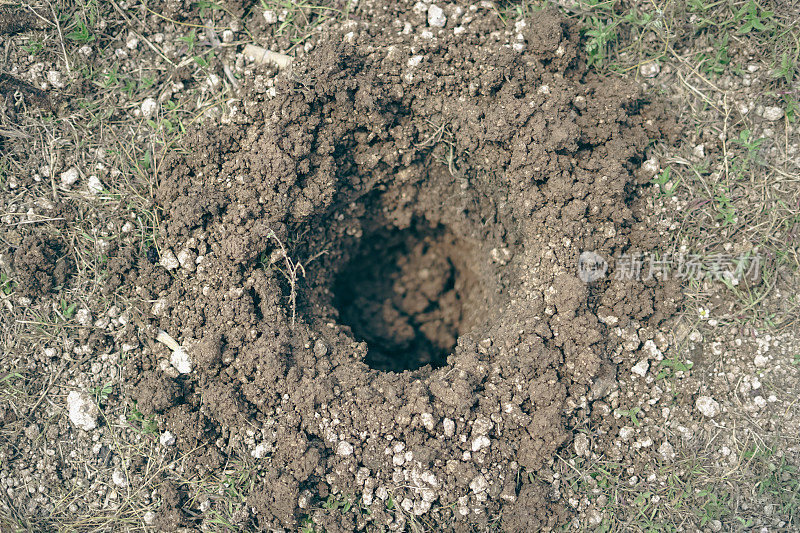 挖洞:在地上挖成洞的洞