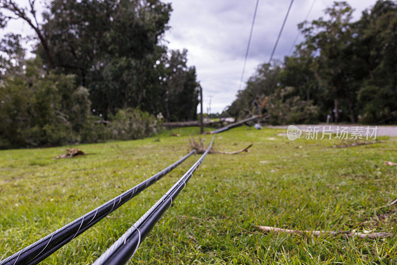 飓风袭击了北佛罗里达州斯坦哈奇的电线杆。倒下的树和损坏的电线击倒了草地。关注电缆杆