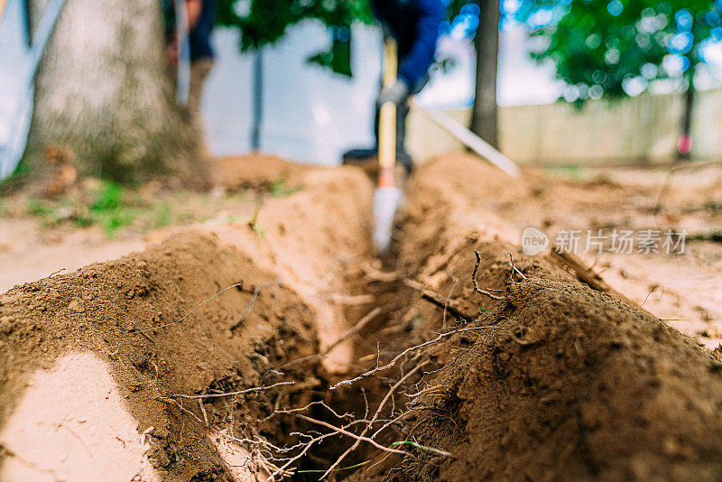 园丁用挖沟铲挖沟时，软土中露出的根