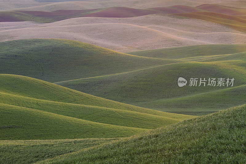 帕卢斯山