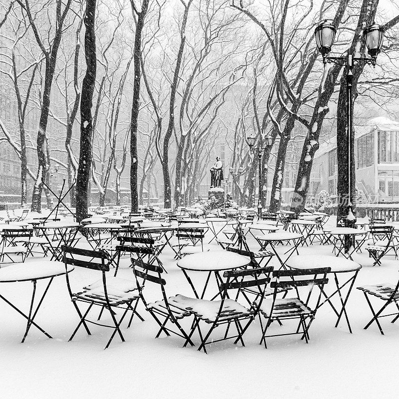 纽约布赖恩特公园下着雪