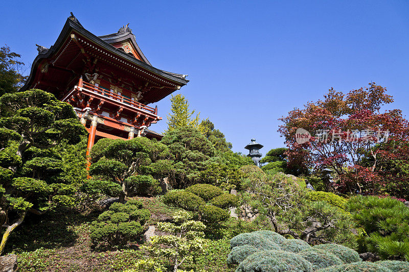 日本茶园的寺庙大门