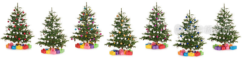 选择圣诞树与五颜六色的小玩意和礼物