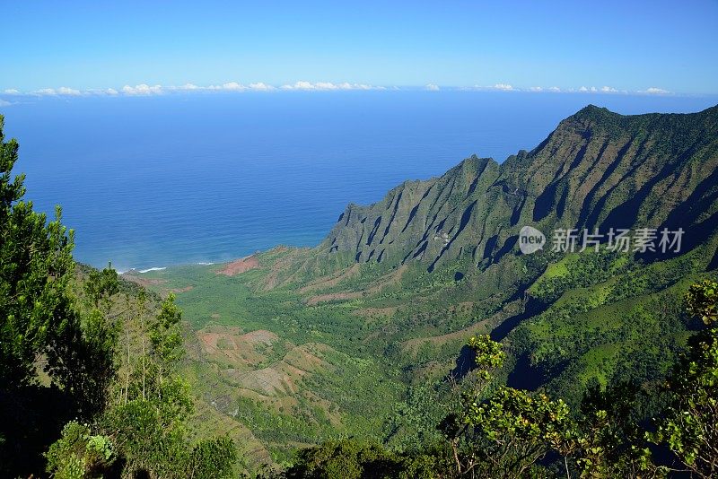 夏威夷考艾岛卡拉劳山谷