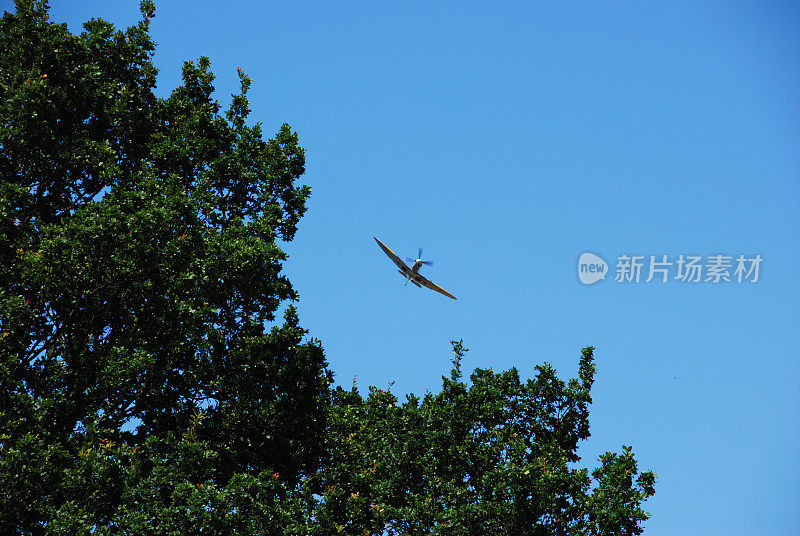 喷火战斗机飞过树林