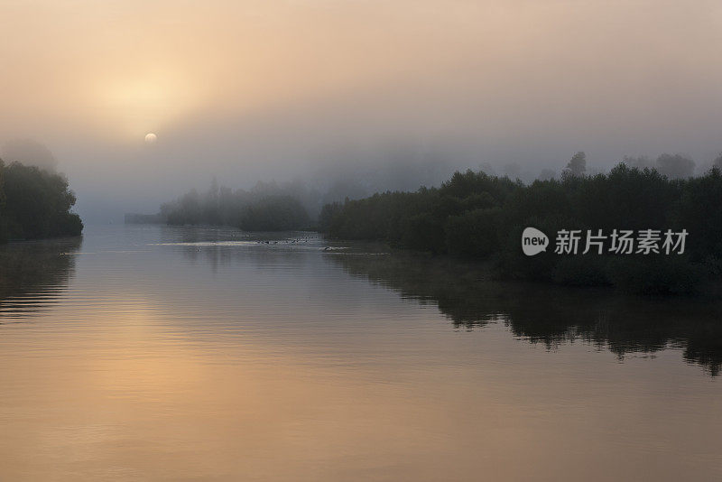 位于法国蒙希豪森附近的阿尔萨斯绍尔三角洲