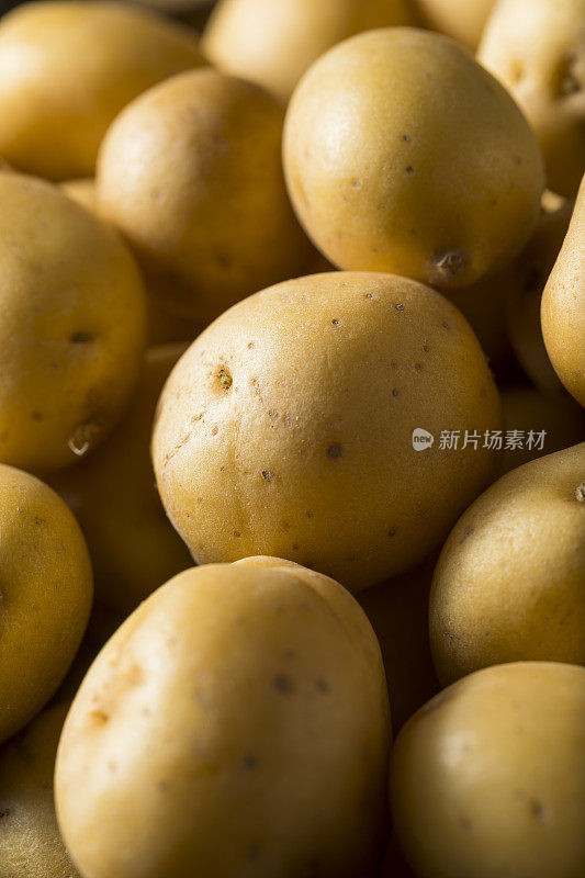 生有机婴儿黄金土豆