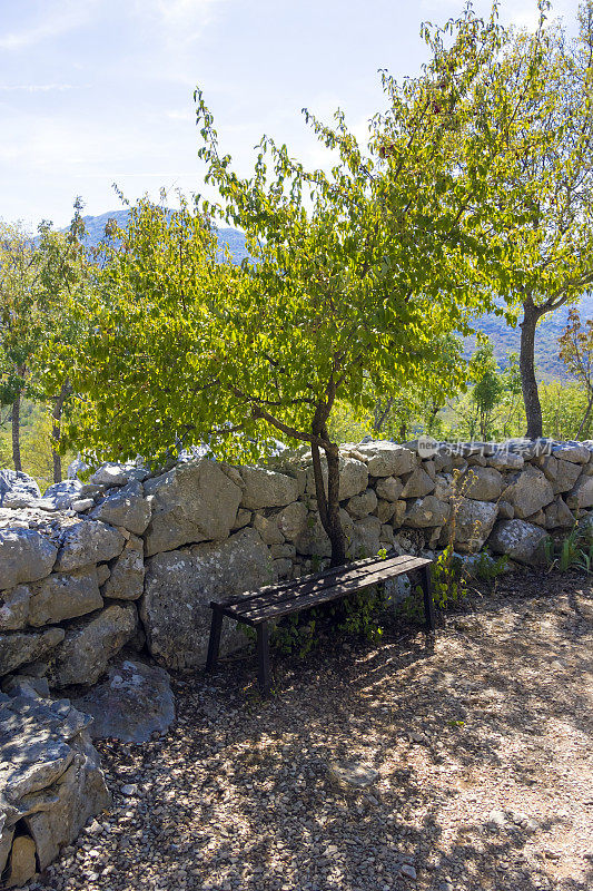 克罗地亚达尔马提亚山脉的一棵大树下的长椅