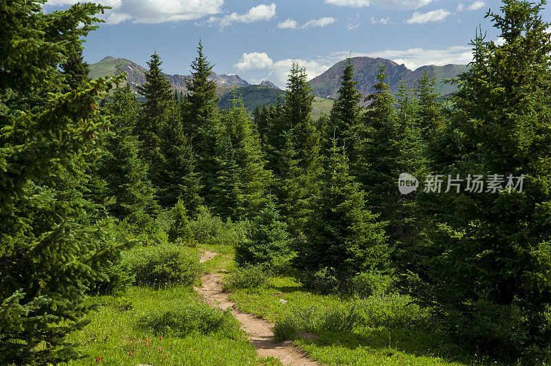 高山野花草甸风景区