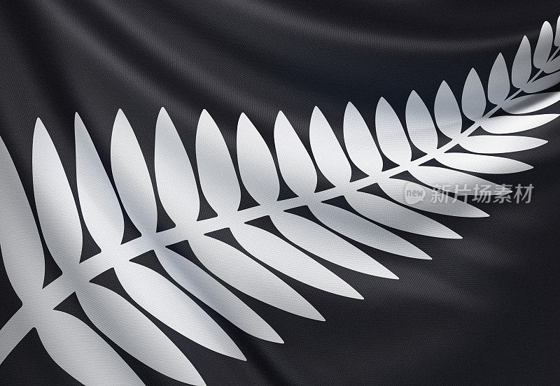 新西兰银蕨旗
