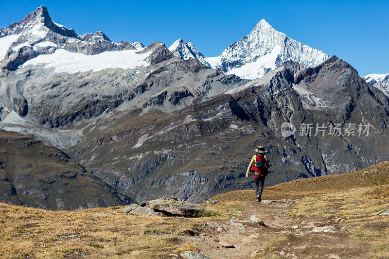 在瑞士阿尔卑斯山徒步旅行