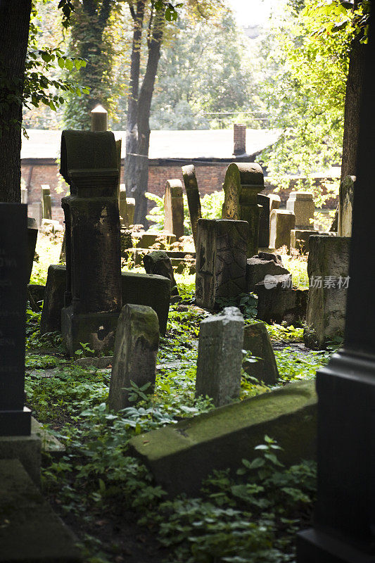 老犹太cementary