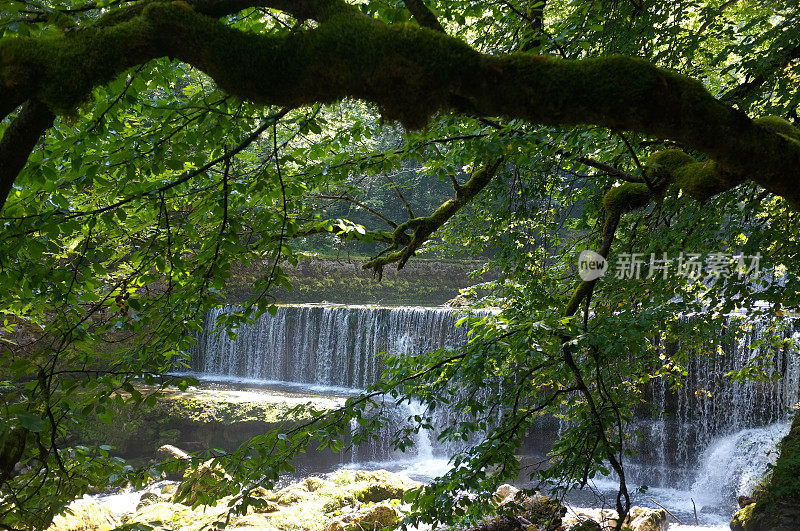 阿雷泽峡谷和瑞士汝拉河