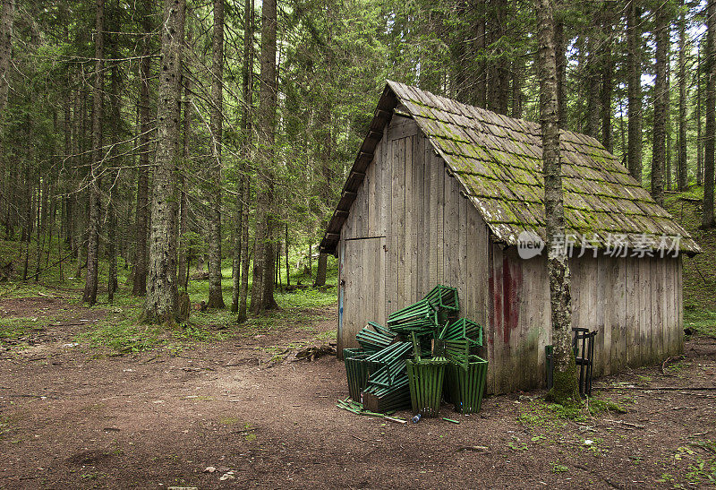 树林里的废弃小屋