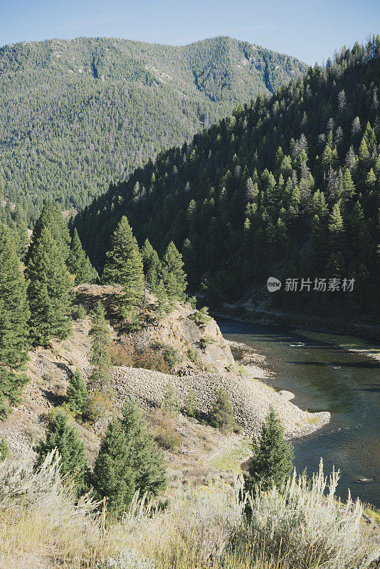 风景鲑鱼河美国西部爱达荷州夏季景观