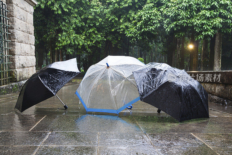 雨中的雨伞