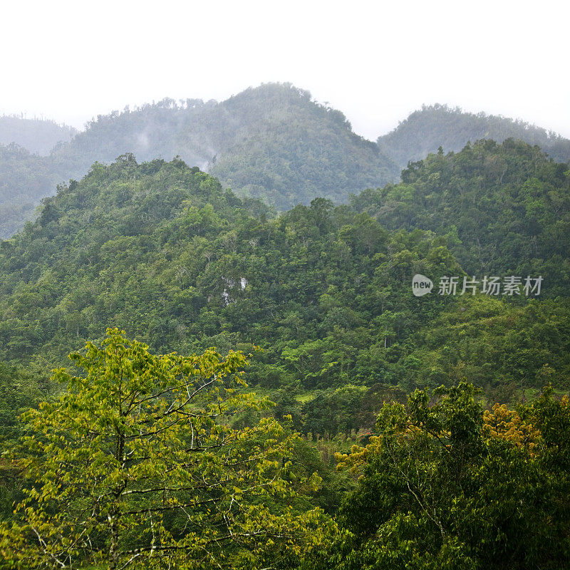 加勒比山场景