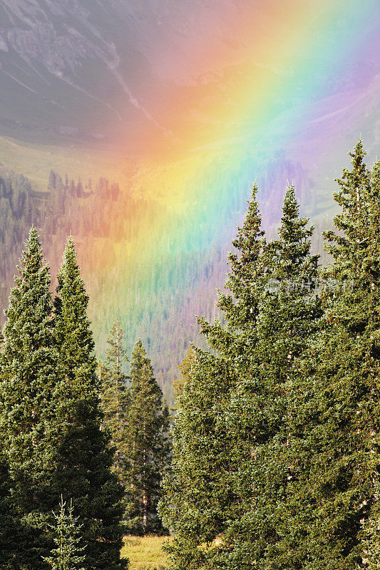 彩虹森林山地天气