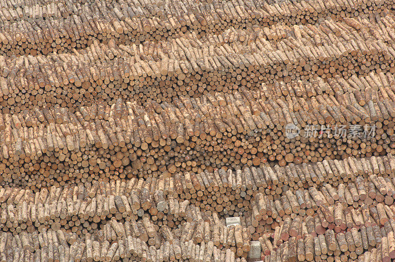 木材场，吉斯伯恩，新西兰