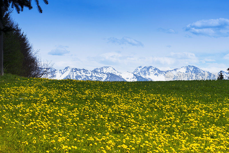 阿尔卑斯山全景图