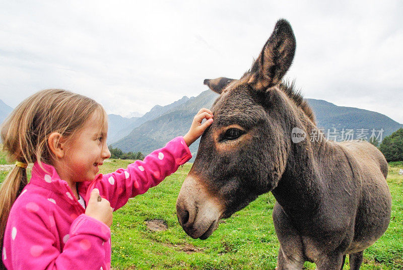 小女孩在山上的牧场上喂驴
