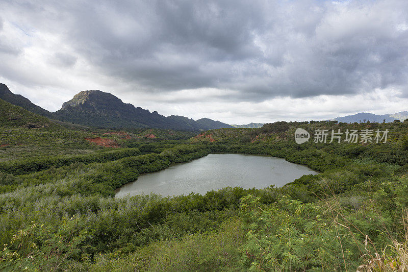 鱼塘考艾岛，夏威夷群岛