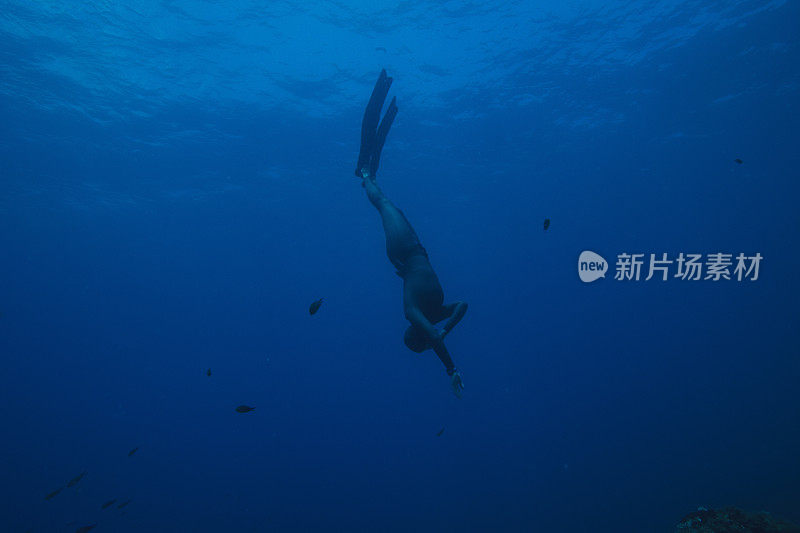 自由潜水呼吸暂停妇女浮潜水下潜水海上冒险