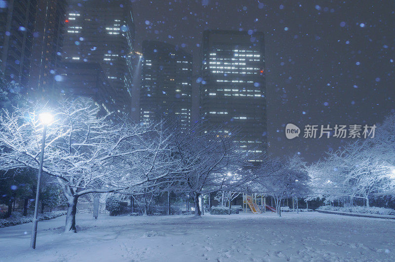 东京的下雪天