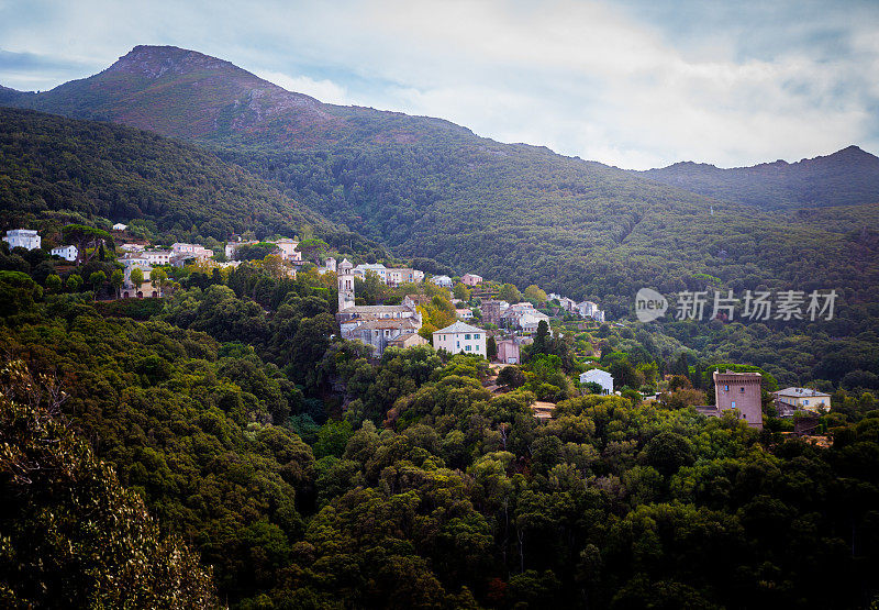 在科西嘉岛村