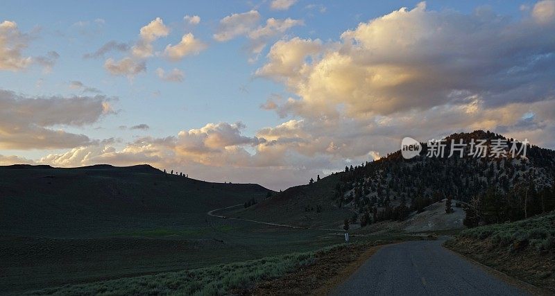 古狐尾松公路