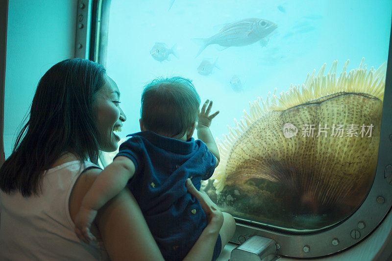 一个日本家庭在水族馆里享受