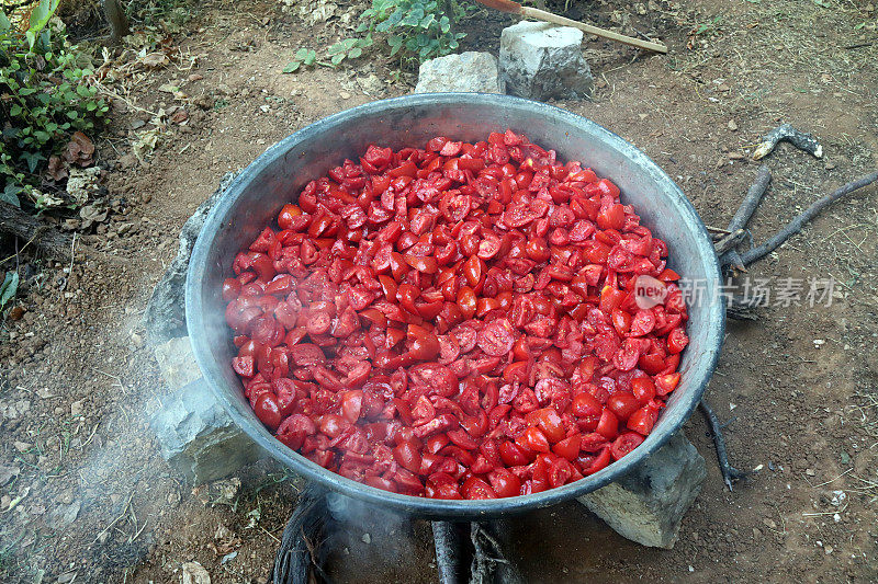 自制番茄酱的制作