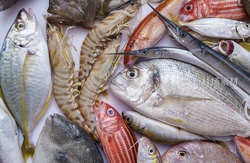 白色上的各种鲜鱼和海鲜的高角视角