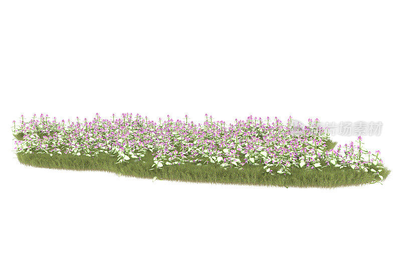 背景上孤立的草地。三维渲染-插图