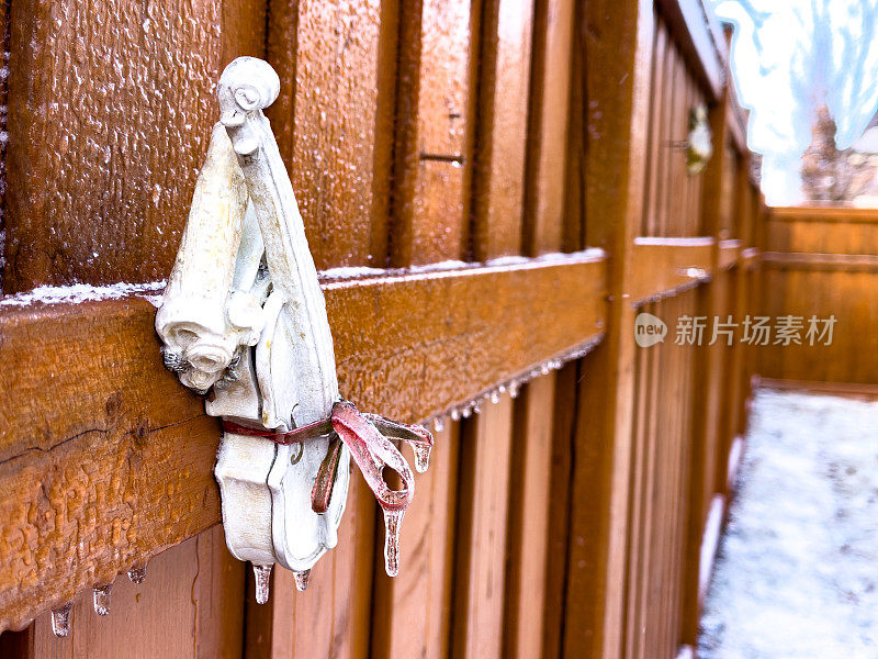 加拿大安大略省多伦多的冻雨风暴