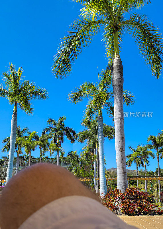 在哥斯达黎加，一个放松的人的膝盖与棕榈树和树叶对抗极化的蓝天