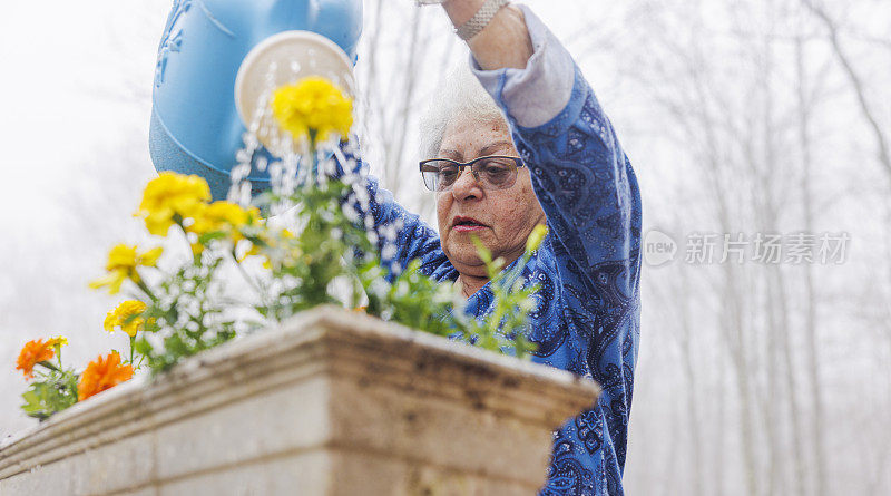 在一个雾蒙蒙的日子里，一位年长的妇女在院子里专心致志地浇花。