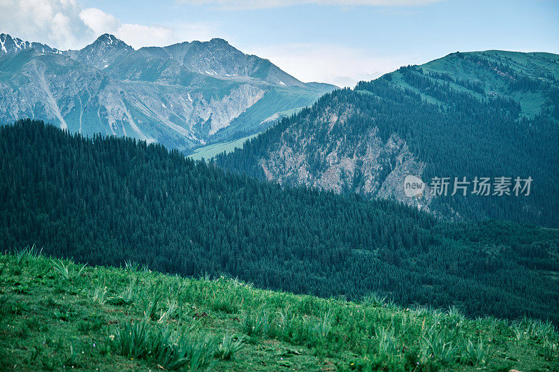 夏季山脊的高角度视图