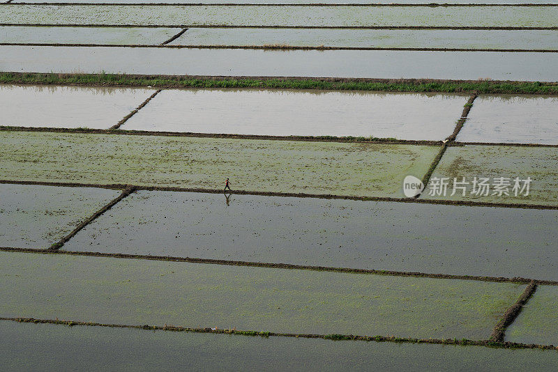 从上方俯瞰Çorum地区Osmancık水田的灌溉景观。