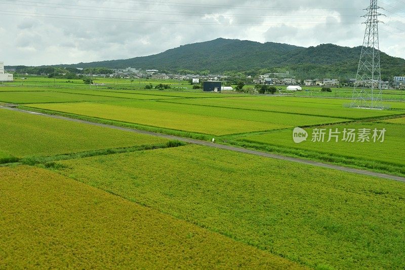 日本乡村景观:从东海道新干线高速列车上观看