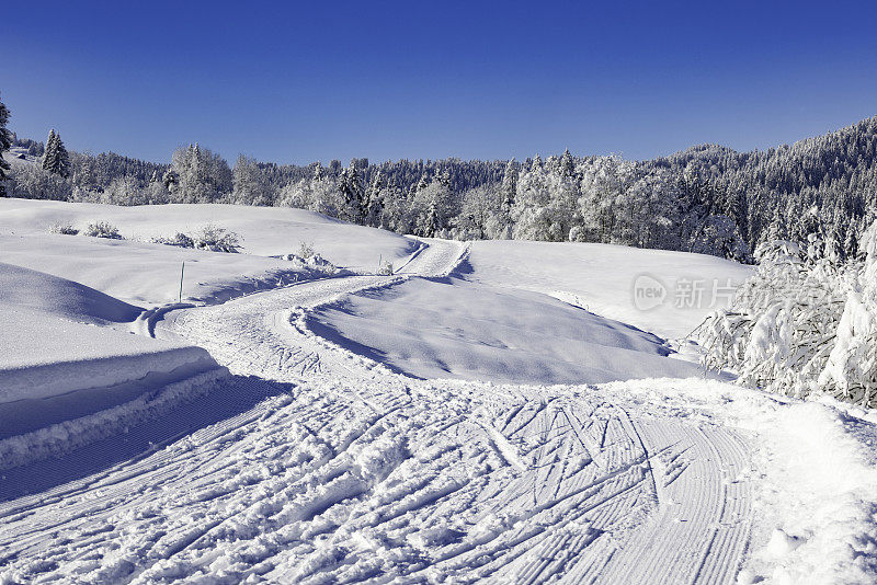 瑞士中部的越野滑雪道