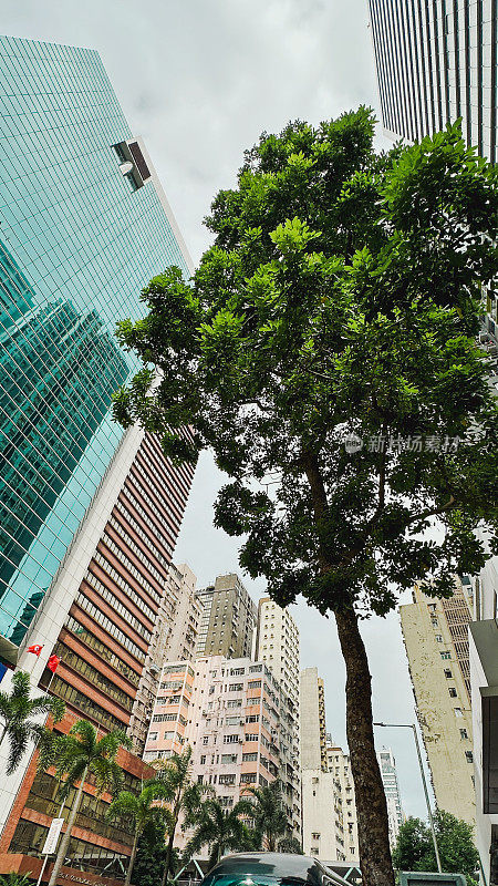 香港建筑风貌