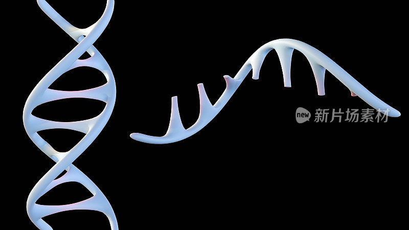 DNA编辑技术CRISPR的3d渲染图