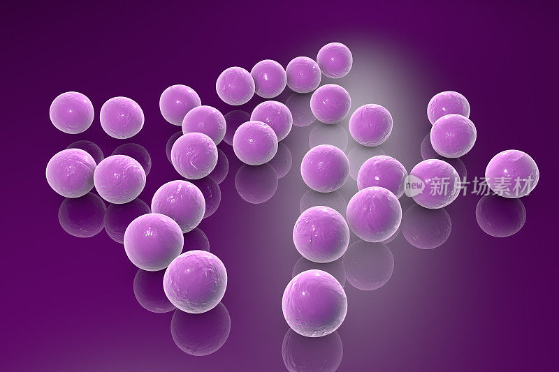 葡萄球菌,球形细菌