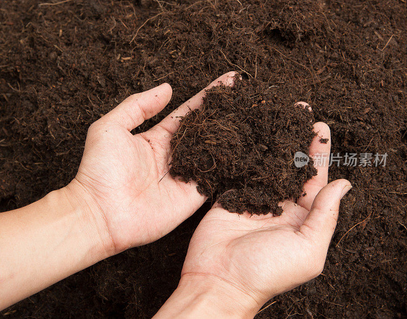 土壤——一把，女性的手，腐殖质土壤