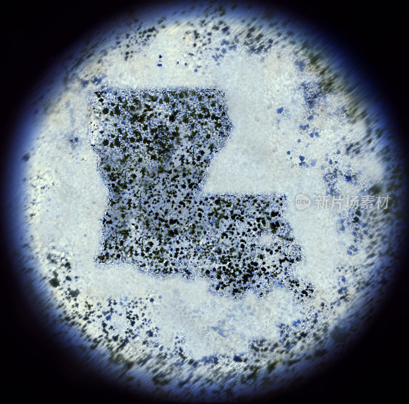 通过显微镜观察路易斯安那州的细菌(系列)
