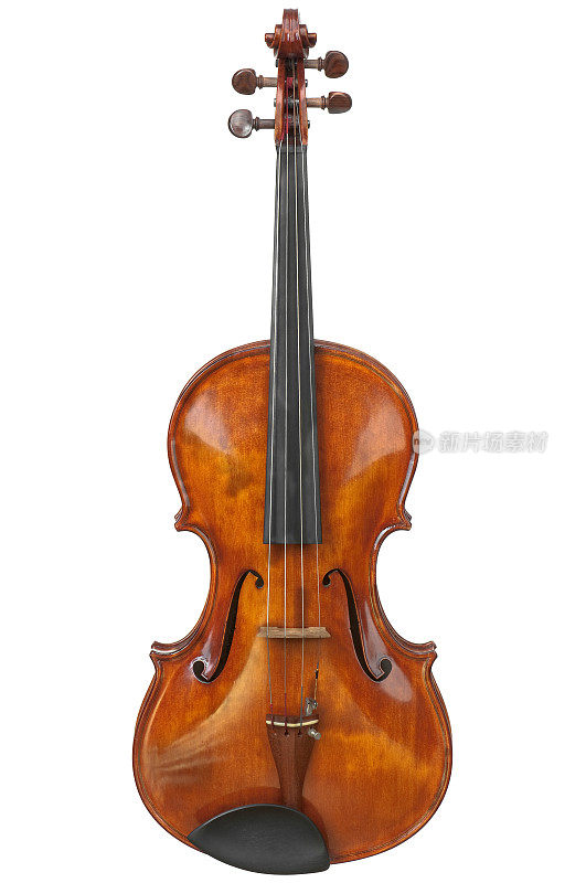 白色背景上的棕色中提琴