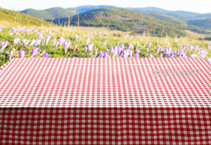 野餐桌上铺着红白格子的桌布