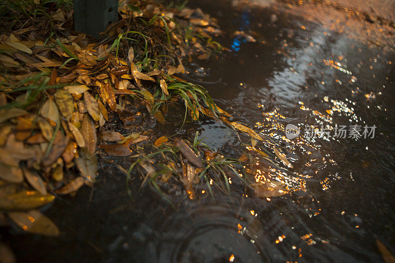 潮湿和多雨的